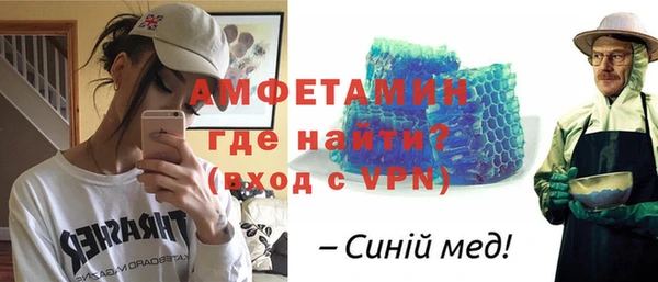 индика Инта