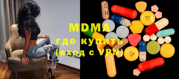 индика Инта