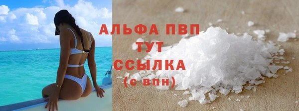 индика Инта