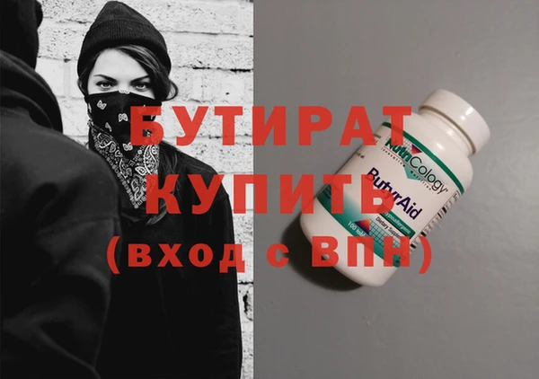 индика Инта