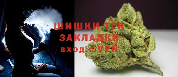 индика Инта