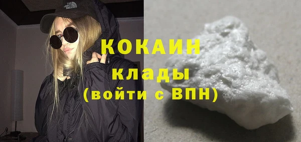 индика Инта