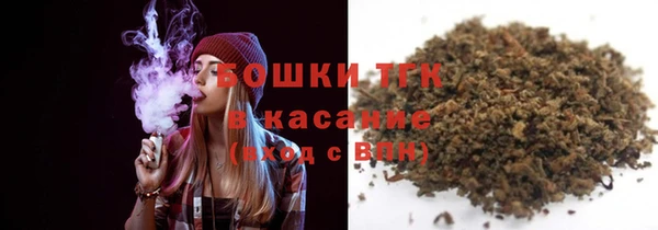 индика Инта