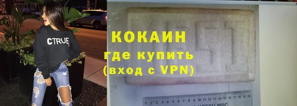 индика Инта