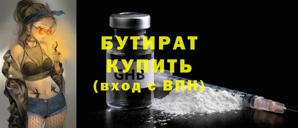 индика Инта