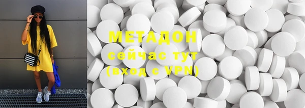 индика Инта