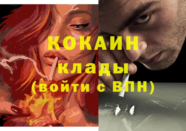 индика Инта