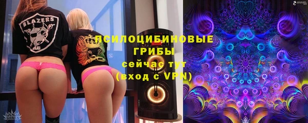 индика Инта