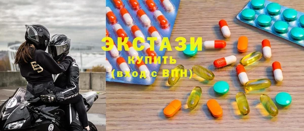 индика Инта
