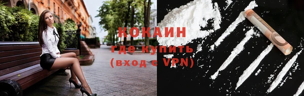 индика Инта