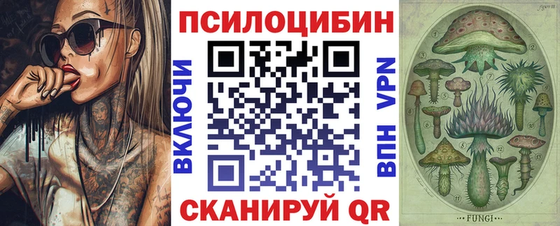 Купить  Тулун  Псилоцибиновые грибы Psilocybine cubensis 